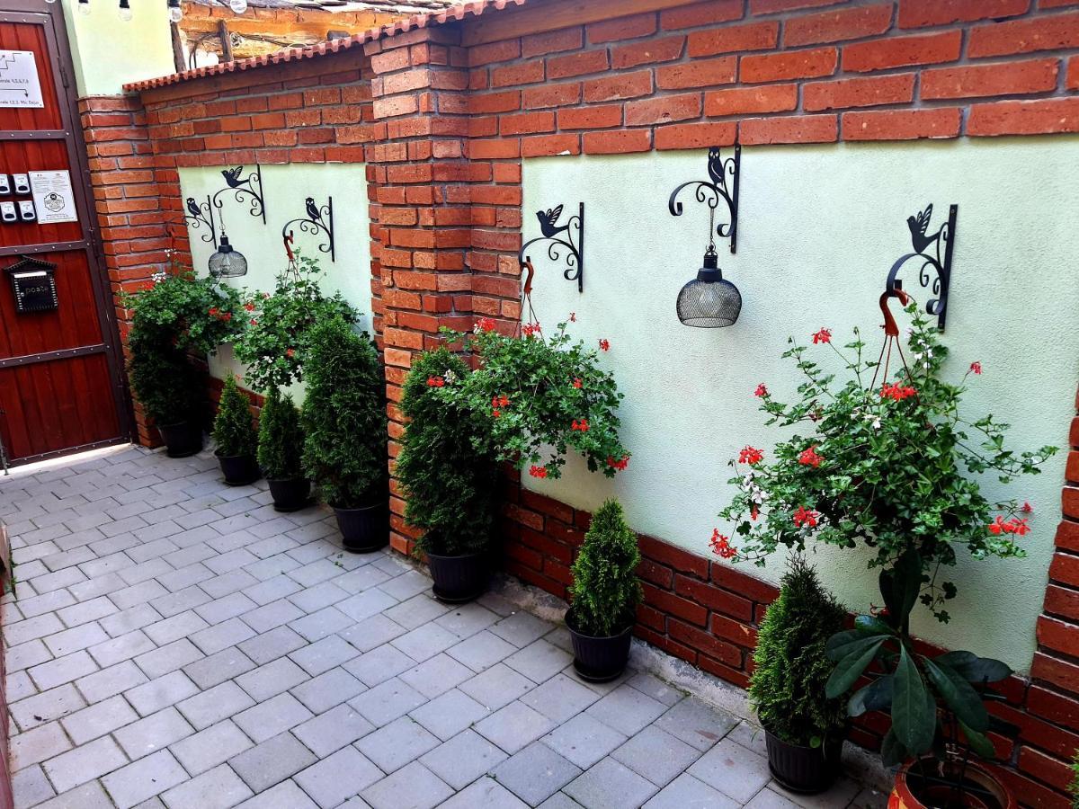 Brother'S House Сибиу Экстерьер фото